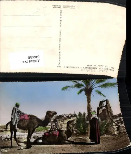 646458,La Halte au Puits Kamel Kamele Afrika Volkstypen Palme