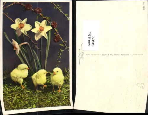 646477,Küken m. Narzissen Blumen Tiere