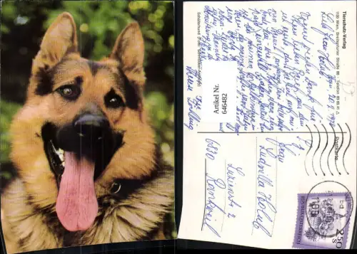 646482,Schäferhund Hund pub Tierschutz-Verlag