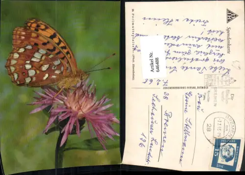 646488,Perlmutterfalter Schmetterling