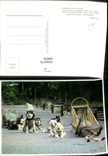 646535,McKinley Park Alaska Dog team Hunde Hundeschlitten