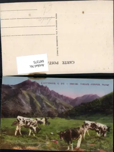 647275,L Auvergne Vallee d Enfer Paysage Rinder Kühe Alm Landwirtschaft Tiere
