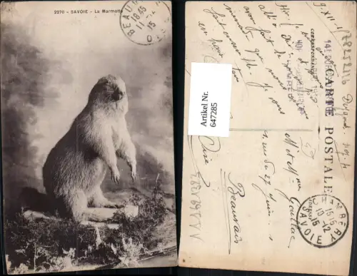 647285,Savoie La Marmotte Murmeltier Tiere