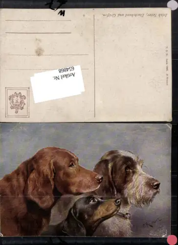 654868,Künstler AK C. Reichert Dackel Hunde Hund Dachshund Irish Setler Griffon