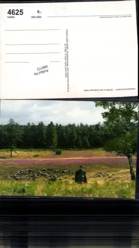688772 Tiere Heidschnucken Lüneburger Heide Schäfer Hirte