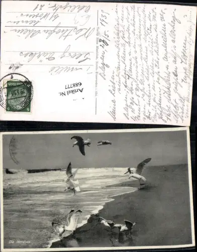 688777 Tiere Nordsee Wellen Meer Brandung Möwen Stp. Wesermünde