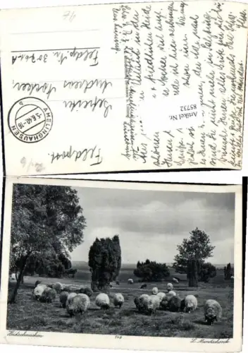 85732,Schafe Hirte L. Mundschenk Feldpost Amelinghausen