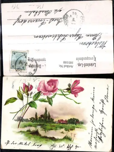 105100,Litho Blumen Landschaft Rosa Rosen