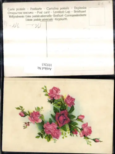 105263,Blumen Rosa Rosen