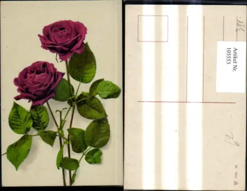 105553,Blumen Rote Rosen