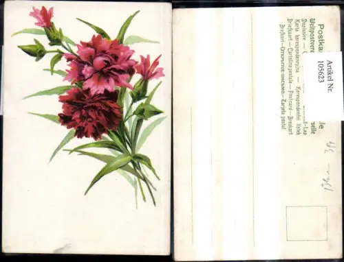 105623,Blumen Rote Rosa Blüten