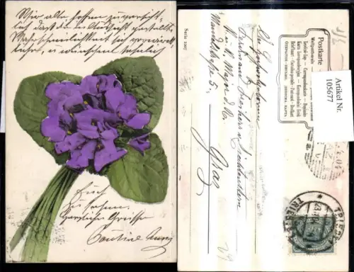 105677,Blumen Strauß Veilchen