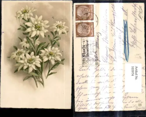 105974,Blumen Edelweiß Strauß