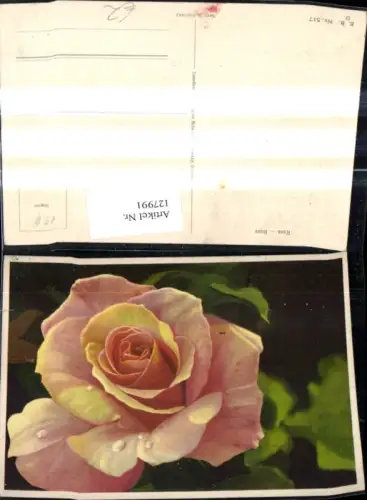 127991,Blumen Rosa Rosen Blüte m. Tauwasser