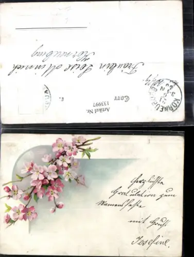 133997,Litho Blumen Blütenzweig Apfelblüte Zweig