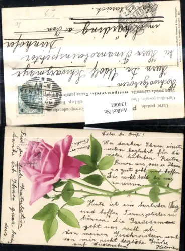 134061,Blumen Rosa Rose Blüte Zweig pub Martin Rommel Co 527