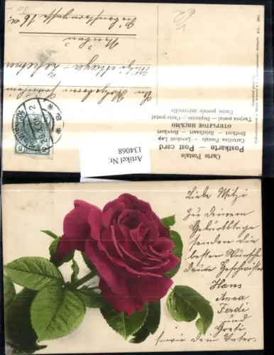 134068,Blumen Rote Rose Blüte Blätter pub Martin Rommel Co 611