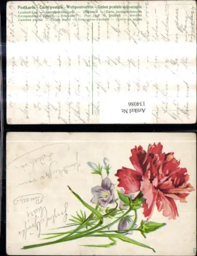 134086,Litho Blumen Rote Nelke Glockenblume