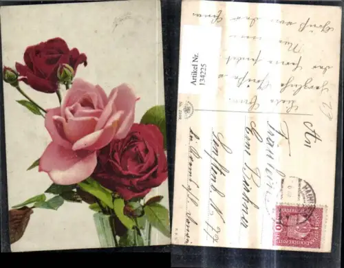 134225,Blumen Rosa Rote Rosen Blüten Zweig