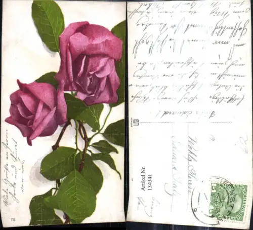 134341,Blumen Rosarote Rose Blüten Zweig