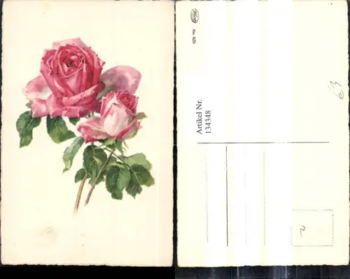 134348,Blumen Rosarote Rosen Blüten Zweig
