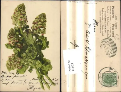 134428,Blumen Strauß pub Martin Rommel Co 575
