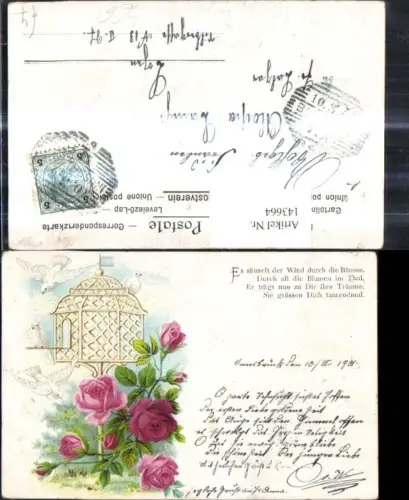 143664,Litho Rosa Rosen Vogelkäfig Tauben Spruch Text