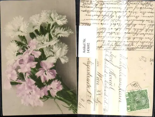 143692,Blumen Nelken pub Martin Rommel Co 628