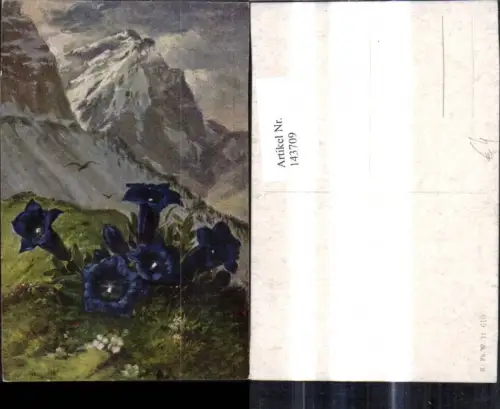 143709,Künstler Ak Enzian v. Bergkulisse Alpenflora