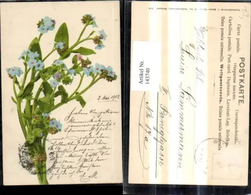 143740,Blumen Vergissmeinnicht pub Martin Rommel Co 514