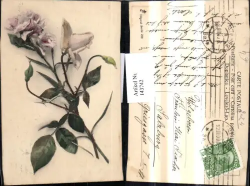 143742,Blumen Rose Zweig Rosen Blüten