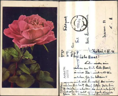 143775,Blumen Rote Rosen Blüte