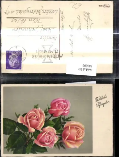 147095,Blumen Rosa Rosen Pfingsten