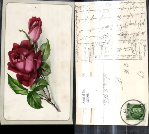 147098,Blumen Rosen Blüten