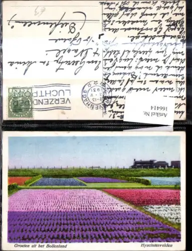 166414,Blumen Hyacintenvelden Hyazinthen Feld