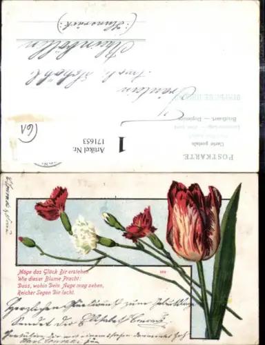 171653,Künstler Ak Blumen Nelken Tulpe Text Spruch
