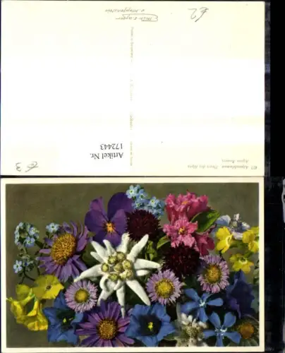 172443,Blumen Alpenblumen Alpenflora