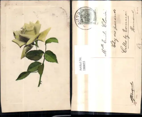 180055,Blumen Gelbe Rose Blüte Präge Passepartout
