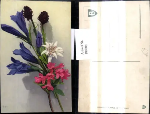 180204,Blumen Alpenflora Enzian Edelweiß Alpenprimel Strauß