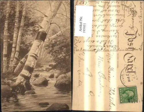 195951,Vegetation Bäume Birken a. Fluss Künstler Ak Zeichnung