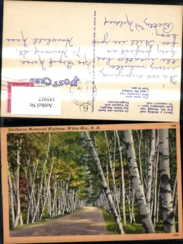 195957,Vegetation Bäume Birken Shelburne Memorial Highway White Mountains New Hampshire