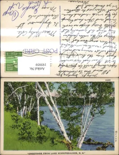 195959,Vegetation Bäume Birken Greetings from Lake Winnipesaukee New Hampshire