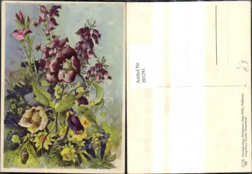 201291,Künstler Ak Fleischfarbiges Heidekraut Steinnelke Nießwurz Enzian Fingerkraut Blumen