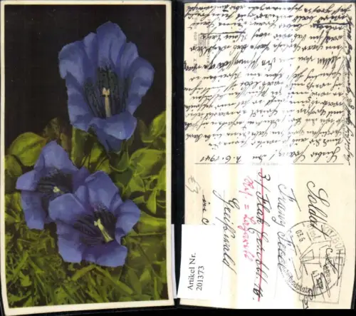 201373,Blumen Keulenenzian Enzian Alpenflora pub Photochromie Ostermayr e Nenke 658/1870
