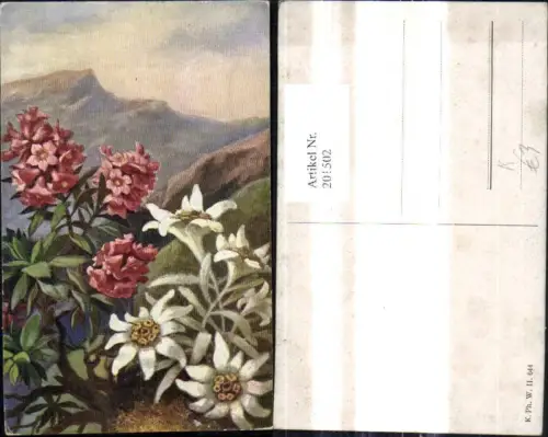 201502,Künstler Ak Alpenflora Edelweiß Alpenrose
