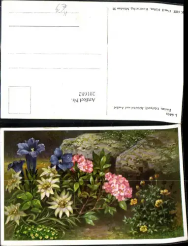 201682,Künstler Ak J. Schön Enzian Edelweiß Steinrösl u. Aurikel Blumen Alpenflora