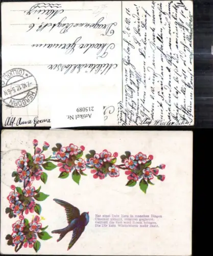 215089,Litho Vegetation Blumen Taube Spruch Text