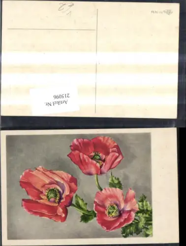 215096,Vegetation Blumen Mohn Spruch Text pub Erika 3456