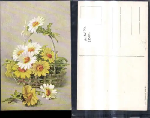 215163,Vegetation Blumen i. Korb