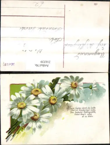 216539,Blumen Margeriten Spruch Text